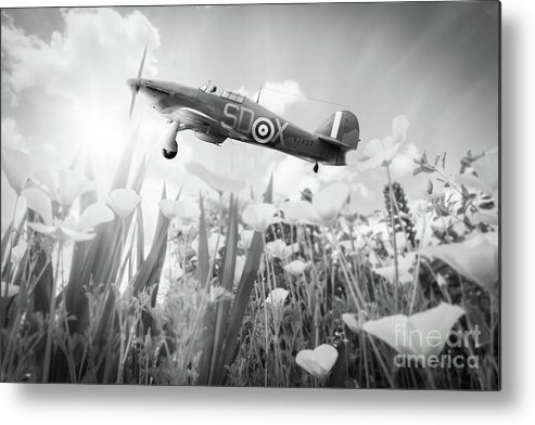 Aircraft Metal Print featuring the photograph Hawker Hurricane flying over poppies in spring #1 by Simon Bratt