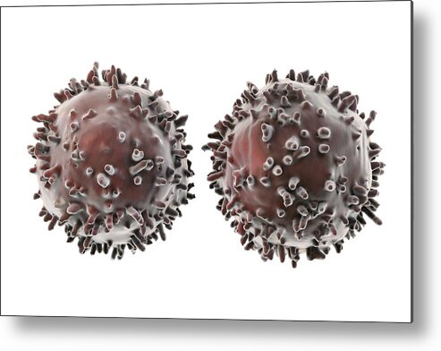 Color Image Metal Print featuring the drawing Lymphocytes, illustration #1 by Kateryna Kon/science Photo Library