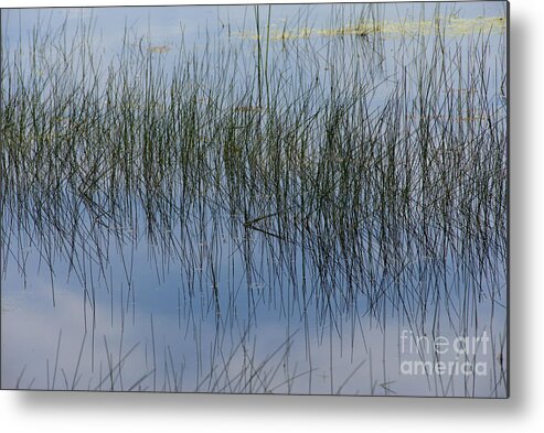 Pond Metal Print featuring the photograph Pond Reflections by Kae Cheatham