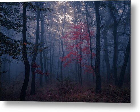 Balkan Mountains Metal Print featuring the photograph Red Tree by Evgeni Dinev