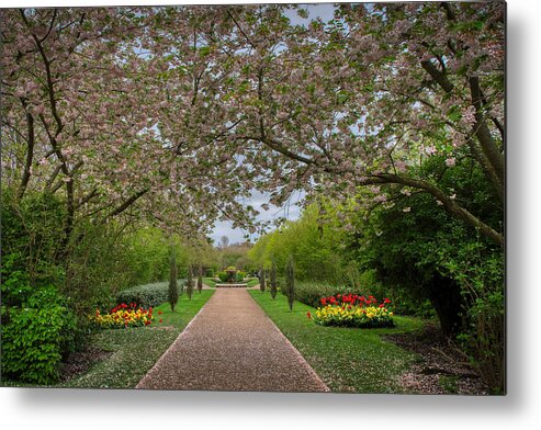 Regents Park Metal Print featuring the photograph Regents Park #2 by Raymond Hill