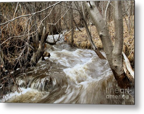 Creeks Metal Print featuring the photograph Runoff #1 by Roland Stanke