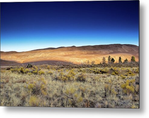 Co Metal Print featuring the photograph Sand Dunes #1 by Doug Wittrock