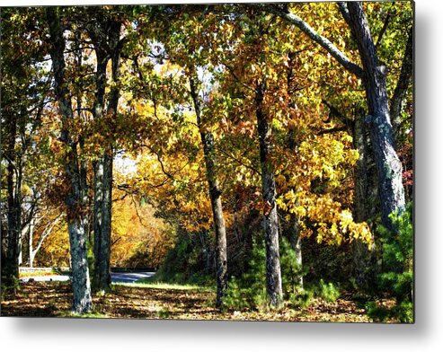 Color Metal Print featuring the photograph Skyline Drive 3 #1 by Alan Hausenflock