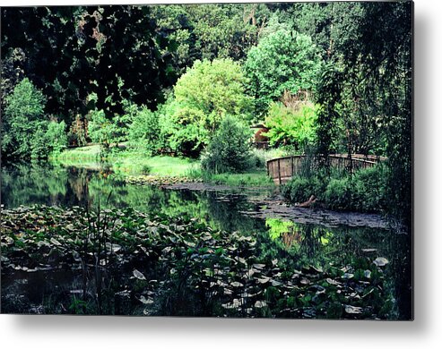 Pastels Metal Print featuring the photograph Springtime Serenity #2 by Steve Ember