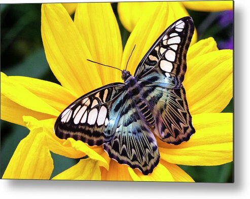 Vibrant Rest Stop Metal Print featuring the photograph Vibrant Rest Stop by Patty Colabuono