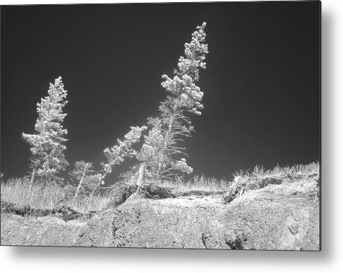 Infra Red Metal Print featuring the photograph Untitled #1 by Alan Norsworthy