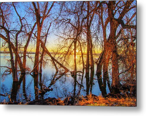 Autumn Metal Print featuring the photograph Twisted Trees On Lake at Sunset by Tom Potter
