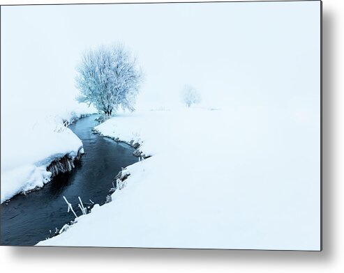 Frost Metal Print featuring the photograph Winter Simplicity by Johnny Adolphson