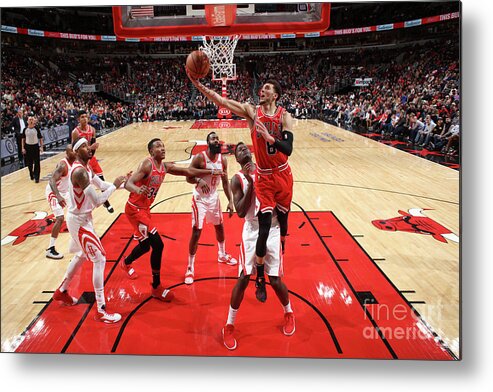 Chicago Bulls Metal Print featuring the photograph Zach Lavine by Gary Dineen