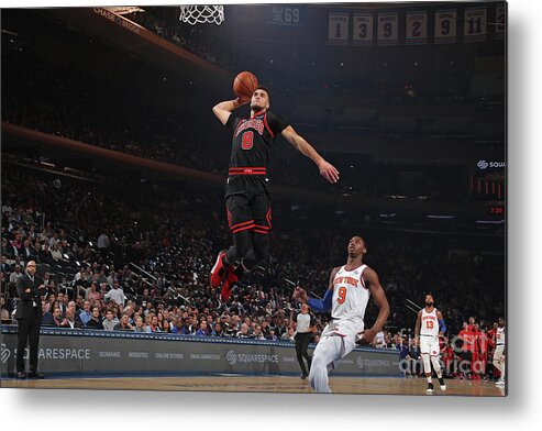 Chicago Bulls Metal Print featuring the photograph Zach Lavine by Nathaniel S. Butler