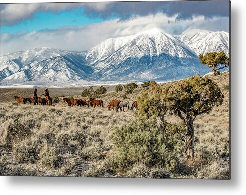  Metal Print featuring the photograph 1dx25710 by John T Humphrey