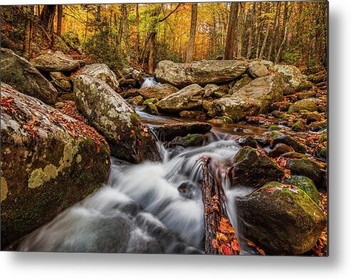 Autumn Metal Print featuring the photograph Autumn in the Woods #2 by Andrew Soundarajan
