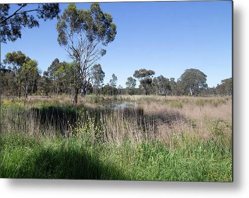 Sky Metal Print featuring the photograph Clear Blue Sky #2 by Masami IIDA