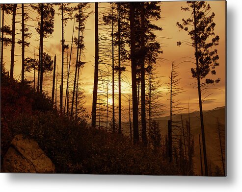 Sunrise Metal Print featuring the photograph Early Morning #1 by Ron Roberts