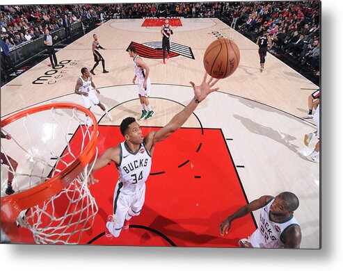 Nba Pro Basketball Metal Print featuring the photograph Giannis Antetokounmpo by Sam Forencich