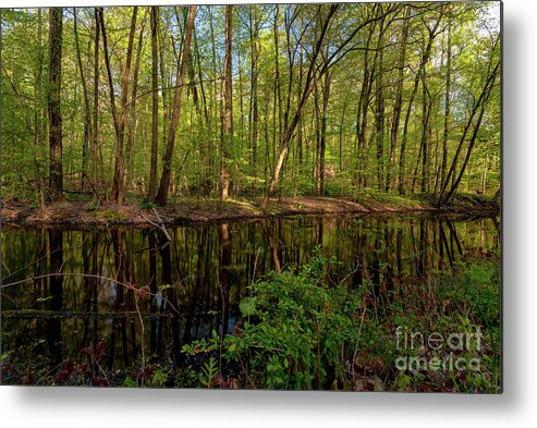 2020 Metal Print featuring the photograph Spring in Hudson Valey #4 by Stef Ko