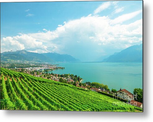 Terraced Vineyards Metal Print featuring the photograph Vineyards of Lavaux #2 by Benny Marty