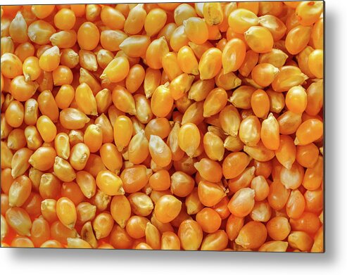 Popcorn Kernels Metal Print featuring the photograph Popcorn kernels by Peter Pauer