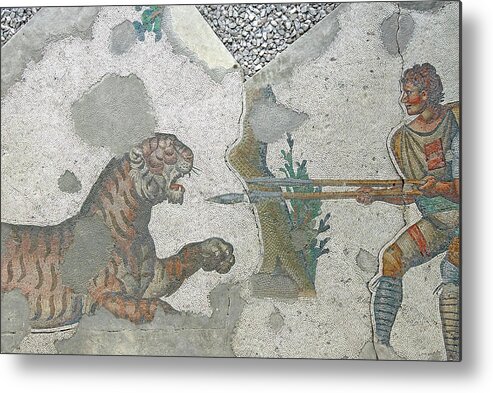 Byzantine Metal Print featuring the photograph Tiger defending itself against hunters #3 by Steve Estvanik