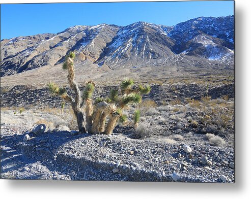 California Metal Print featuring the photograph Death Valley National Park #33 by Jonathan Babon
