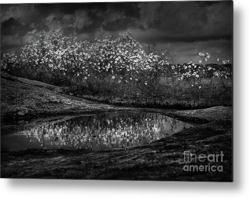 Black And White Metal Print featuring the photograph Untitled 4 by Doug Sturgess