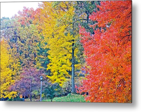Autumn In Thornapple River Area In Grand Rapids Metal Print featuring the photograph Autumn in Thornapple River Area in Grand Rapids, Michigan by Ruth Hager