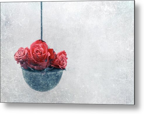 Bluete Metal Print featuring the photograph Silent Moments 2023 #5 by Claudia Drossert