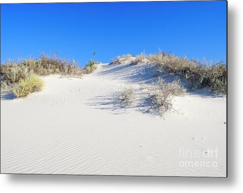 Chihuahuan Desert Metal Print featuring the photograph White Sands Gypsum Dunes #5 by Raul Rodriguez