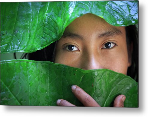 Minca Metal Print featuring the photograph Minca Magdalena Colombia #6 by Tristan Quevilly