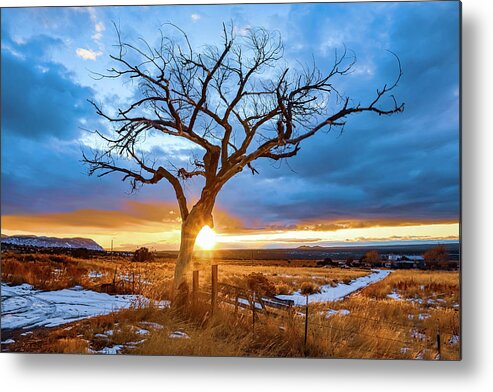 Taos Metal Print featuring the photograph Taos Welcome Tree #3 by Elijah Rael