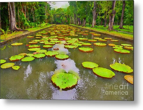 Africa Metal Print featuring the digital art The Lily Ponds of Pamplemousse Botanic Garden #6 by Jules Walters