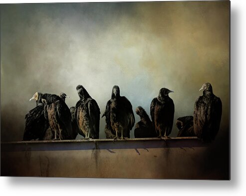 Buzzard Metal Print featuring the photograph A Bunch of Old Buzzards by Jai Johnson