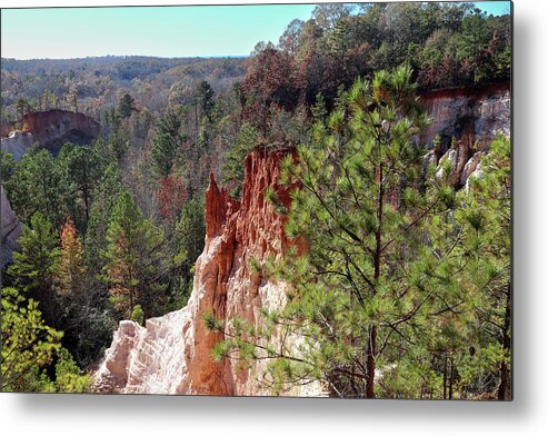 Providence Canyon State Park Metal Print featuring the photograph A Deep Canyon Stare by Ed Williams