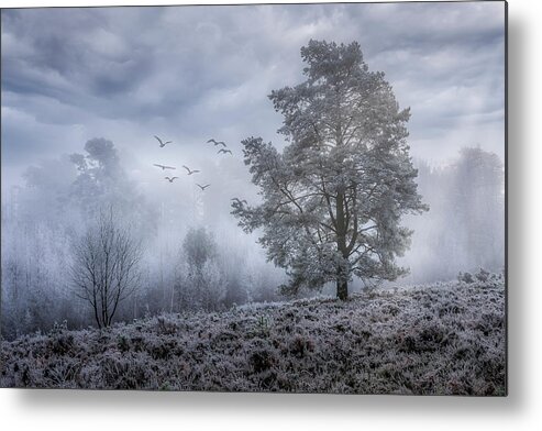 Fog Metal Print featuring the photograph A-Foggy-Day by Chris Boulton