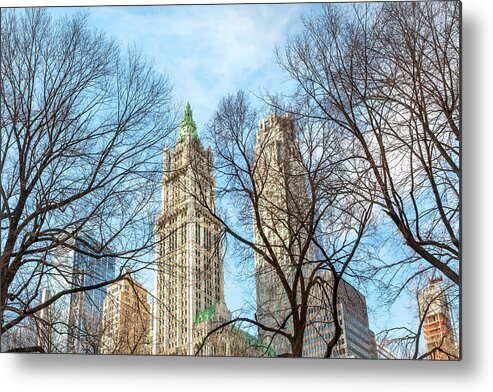 Woolworth Building Metal Print featuring the photograph A Glimpse of the Woolworth Building by Cate Franklyn