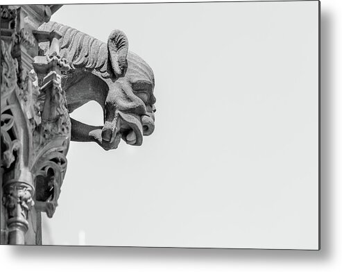 Architecture Metal Print featuring the photograph A Grotesque in Strasbourg - 4 by W Chris Fooshee