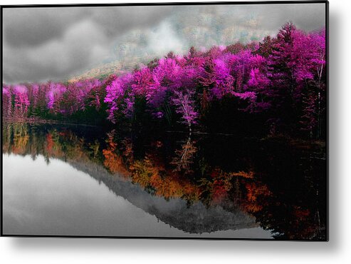 Pond Metal Print featuring the photograph A Memory Inside a Dream by Wayne King