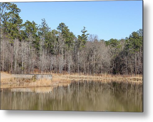 Pond Metal Print featuring the photograph A Piedmont Wildlife Refuge Pond by Ed Williams