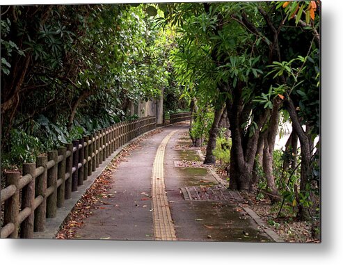 Road Metal Print featuring the photograph A Pleasant Stroll by Eric Hafner