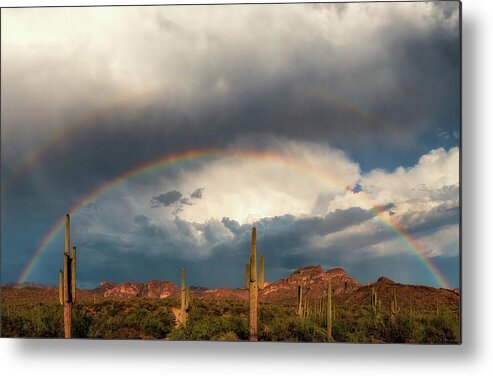 Arizona Metal Print featuring the photograph A Promise Made by Rick Furmanek