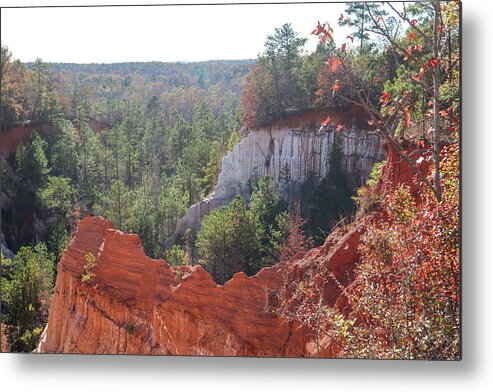 Providence Canyon State Park Metal Print featuring the photograph A Providence Canyon Scoop by Ed Williams