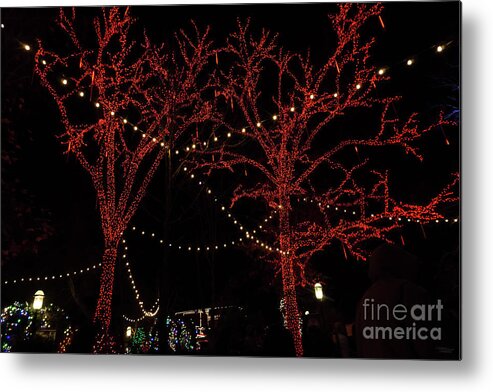 Christmas Metal Print featuring the photograph A Red Pair by Jennifer White