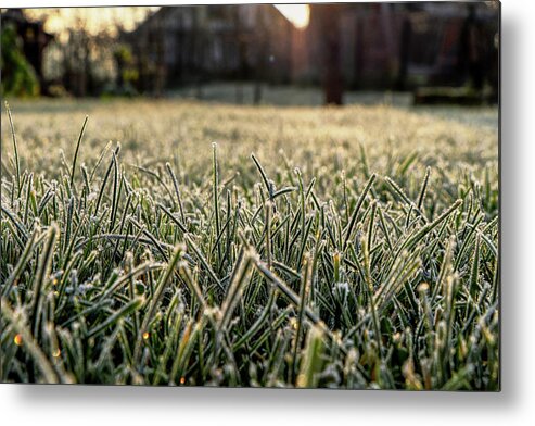Environment Metal Print featuring the photograph Stem of grass are covering snow. by Vaclav Sonnek