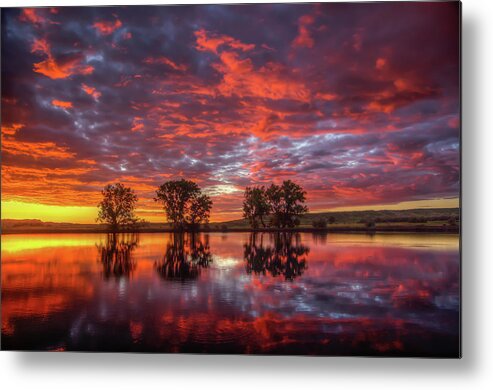 Cox Metal Print featuring the photograph A Sunrise Over Cox Lake by Fiskr Larsen