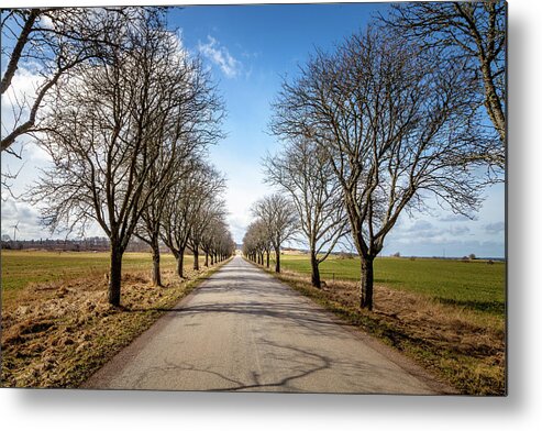Nature Metal Print featuring the photograph A Swedish Farm Road by W Chris Fooshee