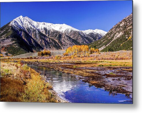 Nature Metal Print featuring the photograph A Touch of Gold by Harold Rau