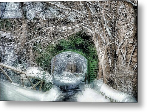 Winter Metal Print featuring the photograph Frozen Landscape  A Winter Walk by Elaine Manley