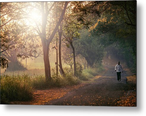 Photography Metal Print featuring the photograph Aarey Stroll by Craig Boehman
