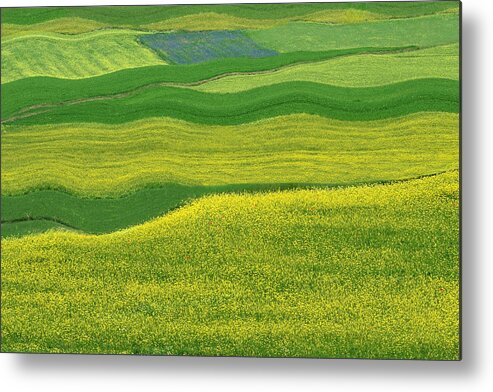 Grass Metal Print featuring the photograph Abstract landscape 22 by Edoardogobattoni.net